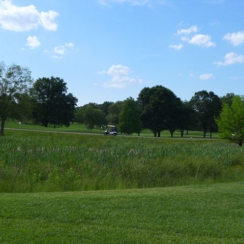 2016 Spring Golf